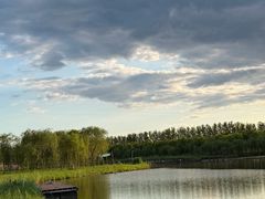 -西青郊野公园