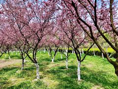 -白塘生态植物园