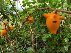 -优游吧斯邹族文化部落