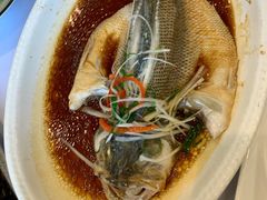 -紫光园·烤鸭·北京菜(劲松店)