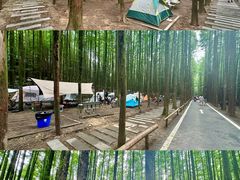 -山王坪喀斯特国家生态公园