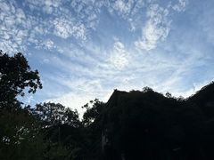 -中国茶叶博物馆(双峰馆区)