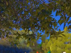 -汉口江滩-江滩观星台