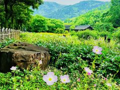 -穹窿山景区