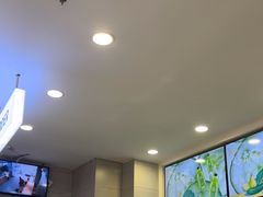-雾与山茶(大禹城店)