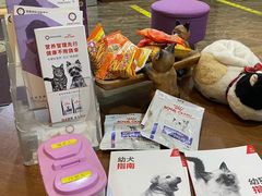 -宠爱国际动物医院·消化内科·心肾内科·ISFM猫友好(望京店)