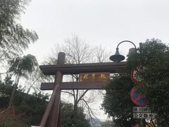 -龙井村