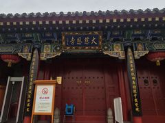 -大慈恩寺(大雁塔)