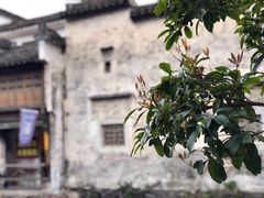 -绩溪龙川景区