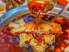 -耗儿鱼蛙蛙叫·老成都火锅(蛇口海昌街店)