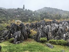 -千岛湖石林