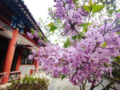 -居庸关长城