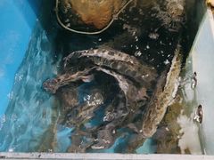 -新珠城鱼坊(龙湖店)