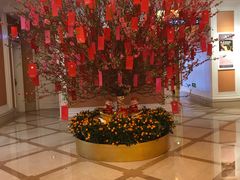-金厨泰国餐厅·全泰籍厨师料理(拱北店)