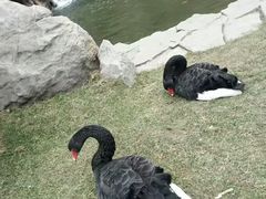 -西安曲江寒窑遗址公园