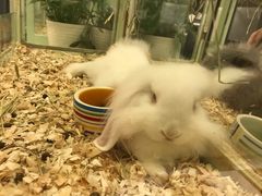 -龙猫仔乐园(惠福东路店)