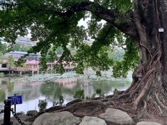-东山湖公园