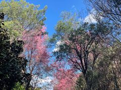 -天龙八部武侠城