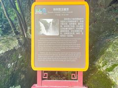 -九鲤湖风景区