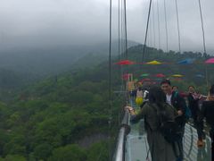 -木兰云雾山