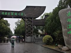 -溱湖国家湿地公园