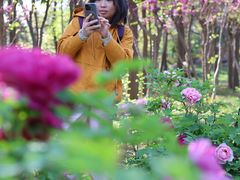 -洛阳市隋唐城遗址植物园