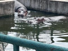 -哈尔滨北方森林动物园