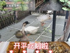 -优之名鹅城