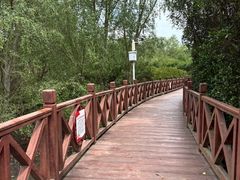-大亚湾红树林城市湿地公园