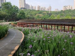 -龙头寺公园