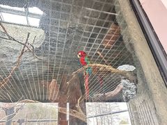 -武汉动物园