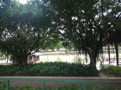 -光明港公园