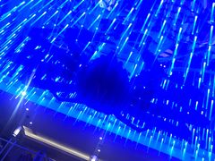 -蟹之国·精品蟹料理(极地店)