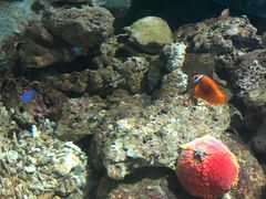 -福州罗源湾海洋世界旅游区