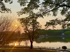 -南国桃园旅游度假区