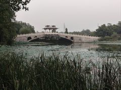 -东湖落雁景区