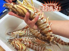 -凯华海鲜火锅·传承三十六年