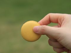 -PAUL LAFAYET 法式甜品(深圳湾万象城店)