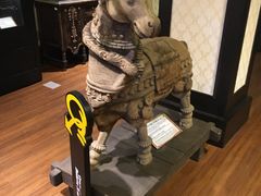 -信不信由你博物馆