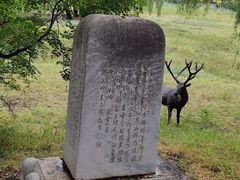 -北京麋鹿生态实验中心