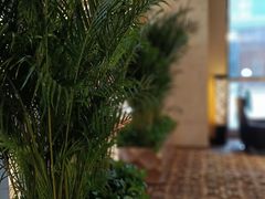 -西安赛瑞喜来登大酒店