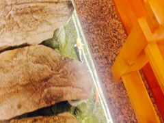 -花枝日本料理(金沟河店)
