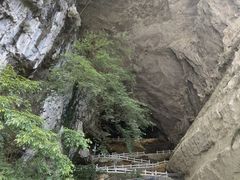 -百色大石围天坑群