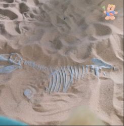 -恐龙探索乐园(磁器口店)