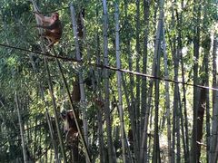 -重庆雨台山风景区