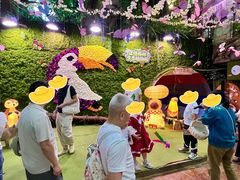 -正佳雨林生态植物园