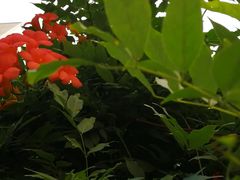 -古荡新村东区