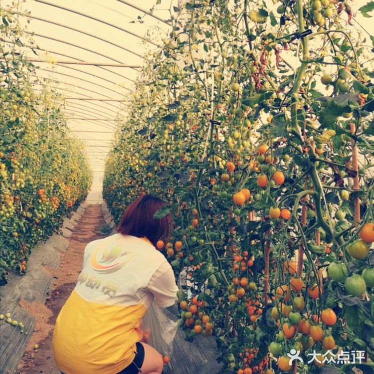 夏日溜娃亲近大自然的首选宝地