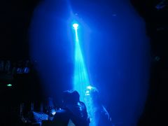 -苏丝的天空高空酒吧Suzie's Sky Bar
