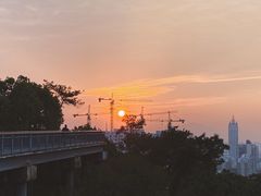 -金鸡山公园